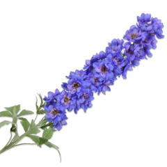 Delphinium Branch - Marône Dark Purple - 114cm