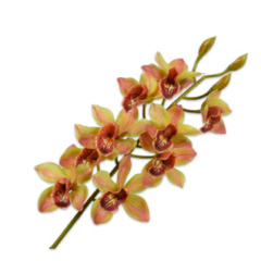 Cymbidium Branch - Green - 93cm