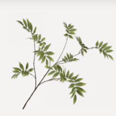 Leaf Branch - Green - 173cm