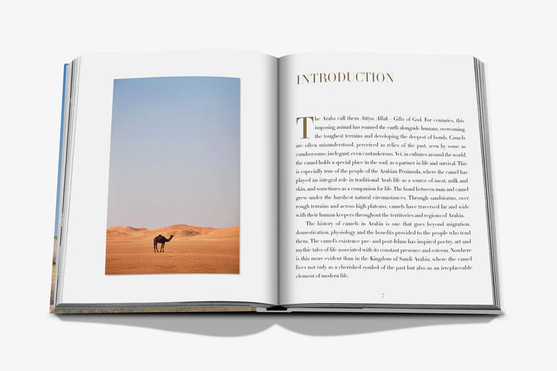 Book -  Camels From Saudi Arabia (Classic)