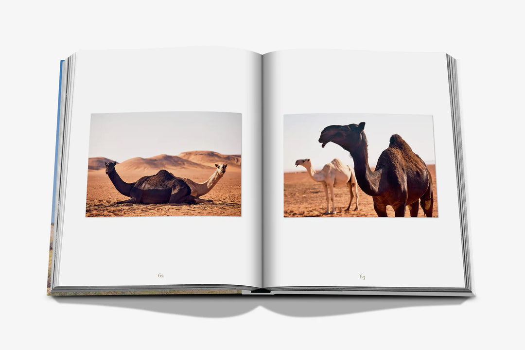 Book -  Camels From Saudi Arabia (Classic)