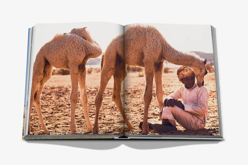 Book -  Camels From Saudi Arabia (Classic)