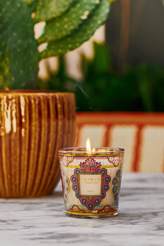Candle - My First Baobab Mexico