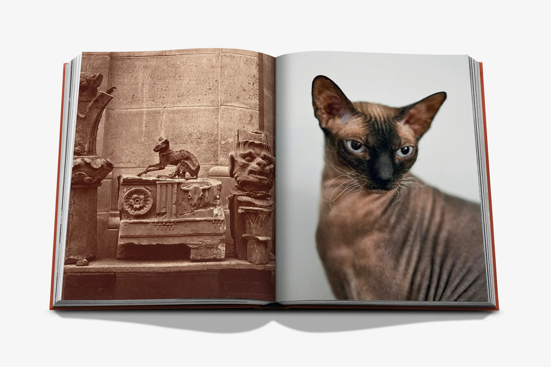 Book -  Chic Cats