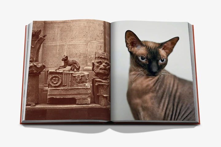 Book -  Chic Cats