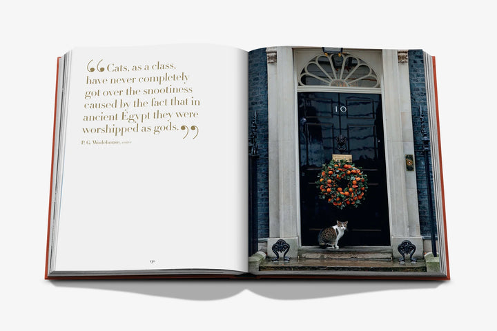 Book -  Chic Cats