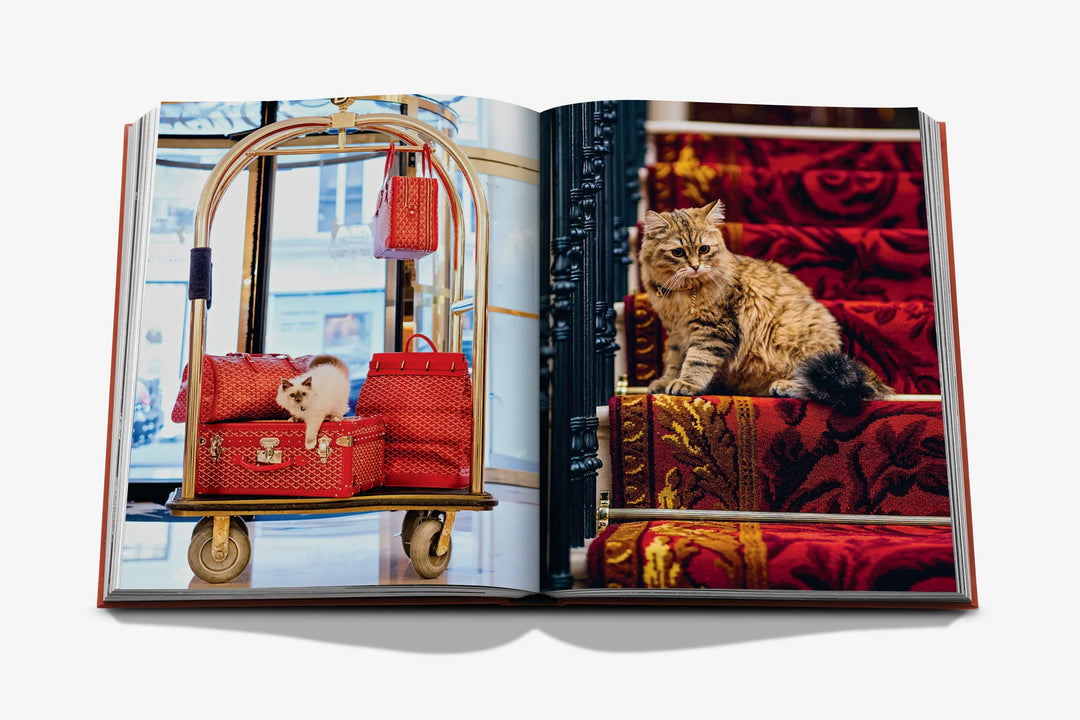 Book -  Chic Cats
