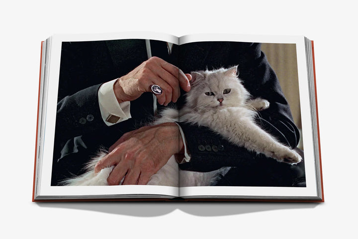 Book -  Chic Cats