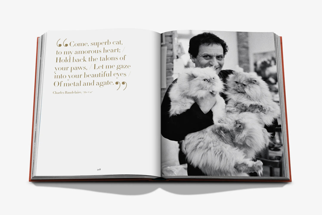 Book -  Chic Cats