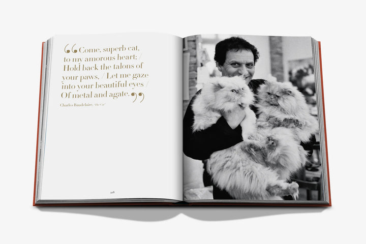 Book -  Chic Cats