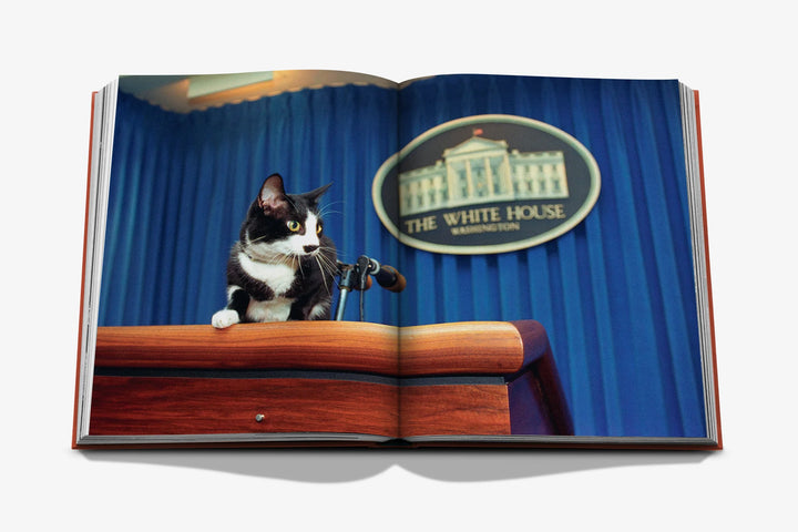 Book -  Chic Cats