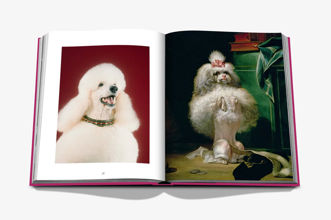 Book -  Chic Dogs