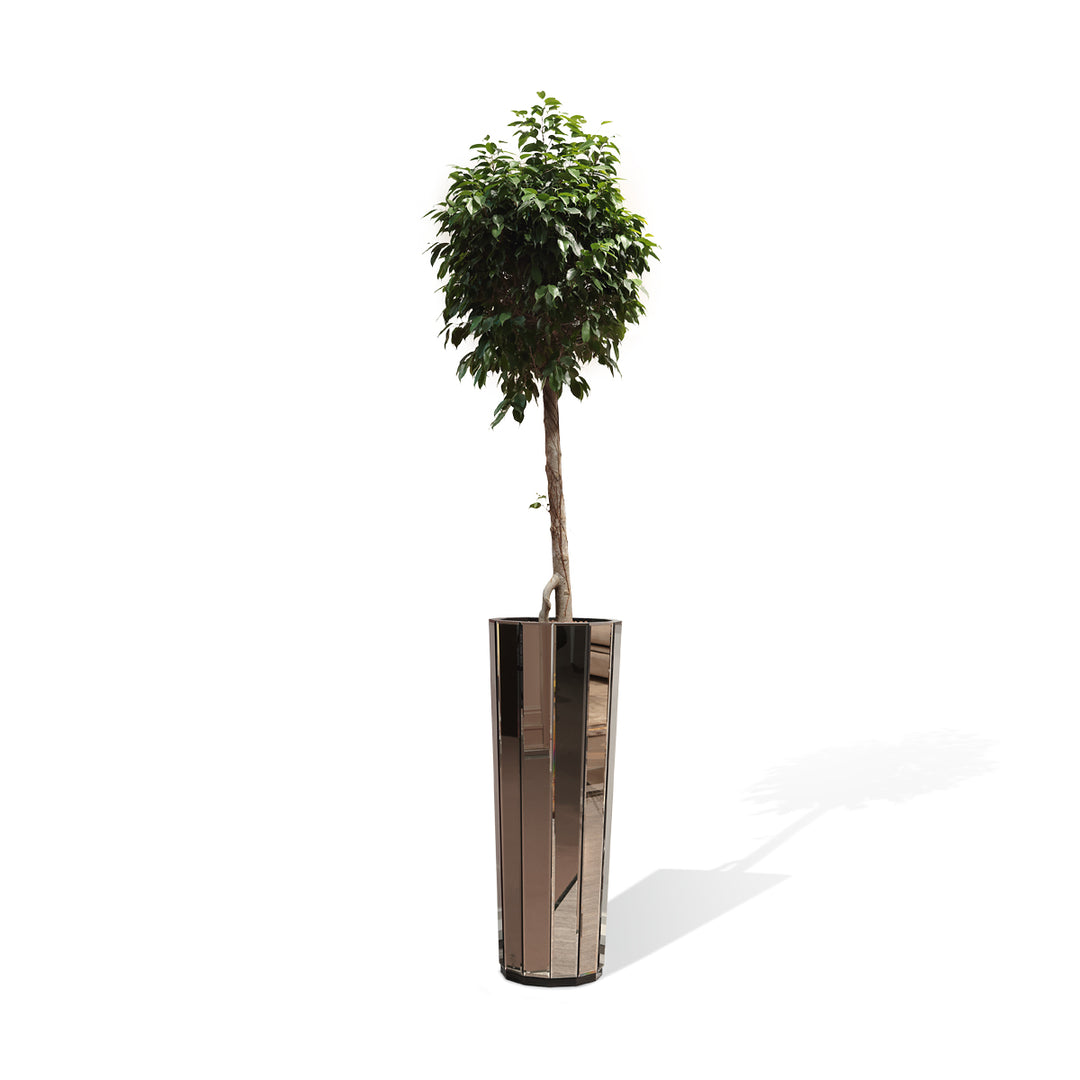 Planter - Clief