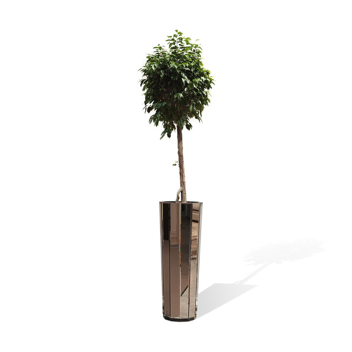Planter - Clief
