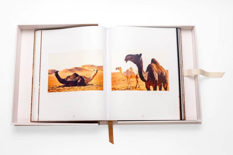 Book -  Camels From Saudi Arabia
