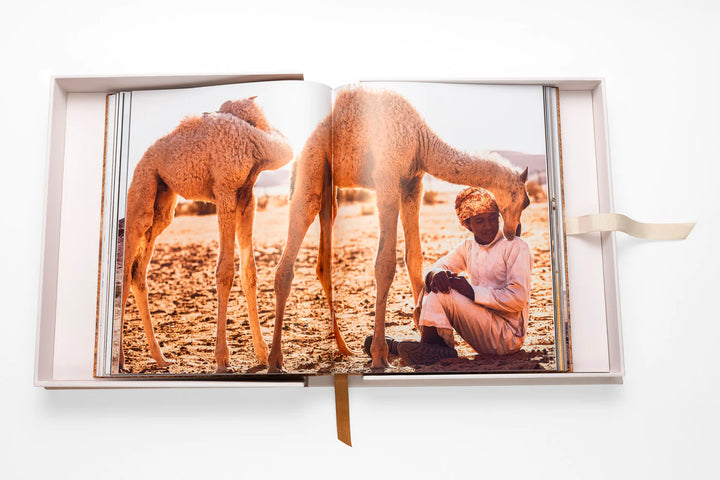 Book -  Camels From Saudi Arabia