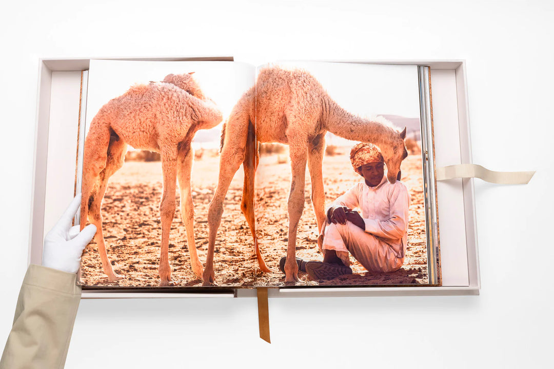 Book -  Camels From Saudi Arabia