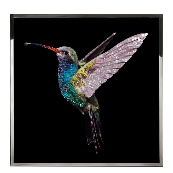 Art - Colibri Big