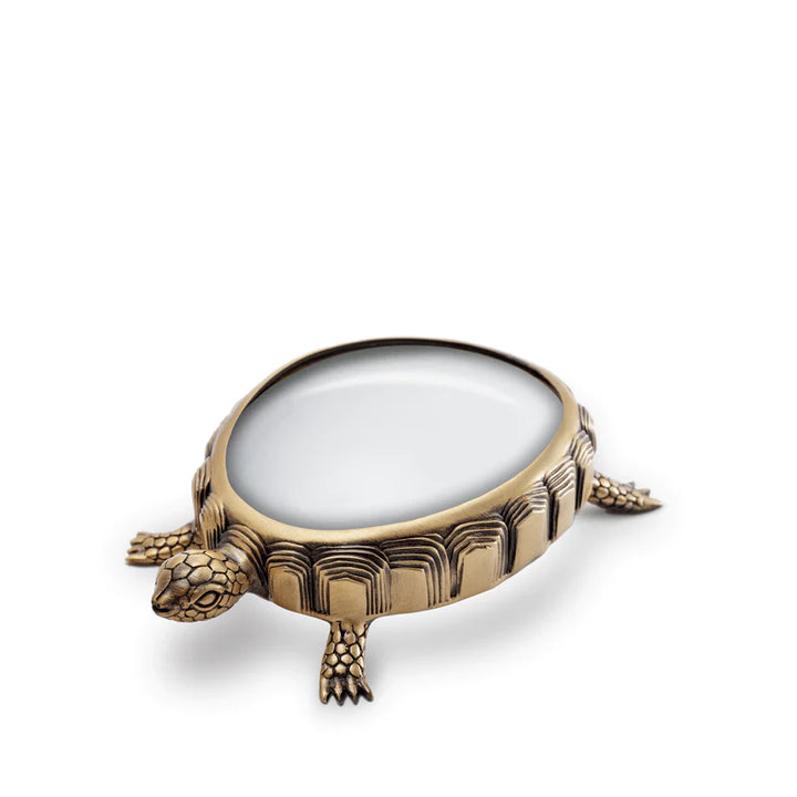 Turtle Magnifying Glass