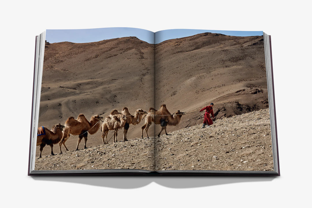 Book - Ode to a Camel