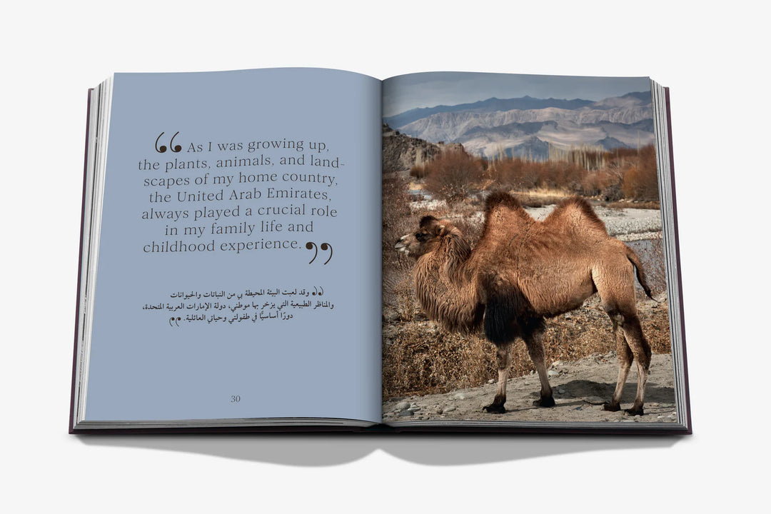 Book - Ode to a Camel
