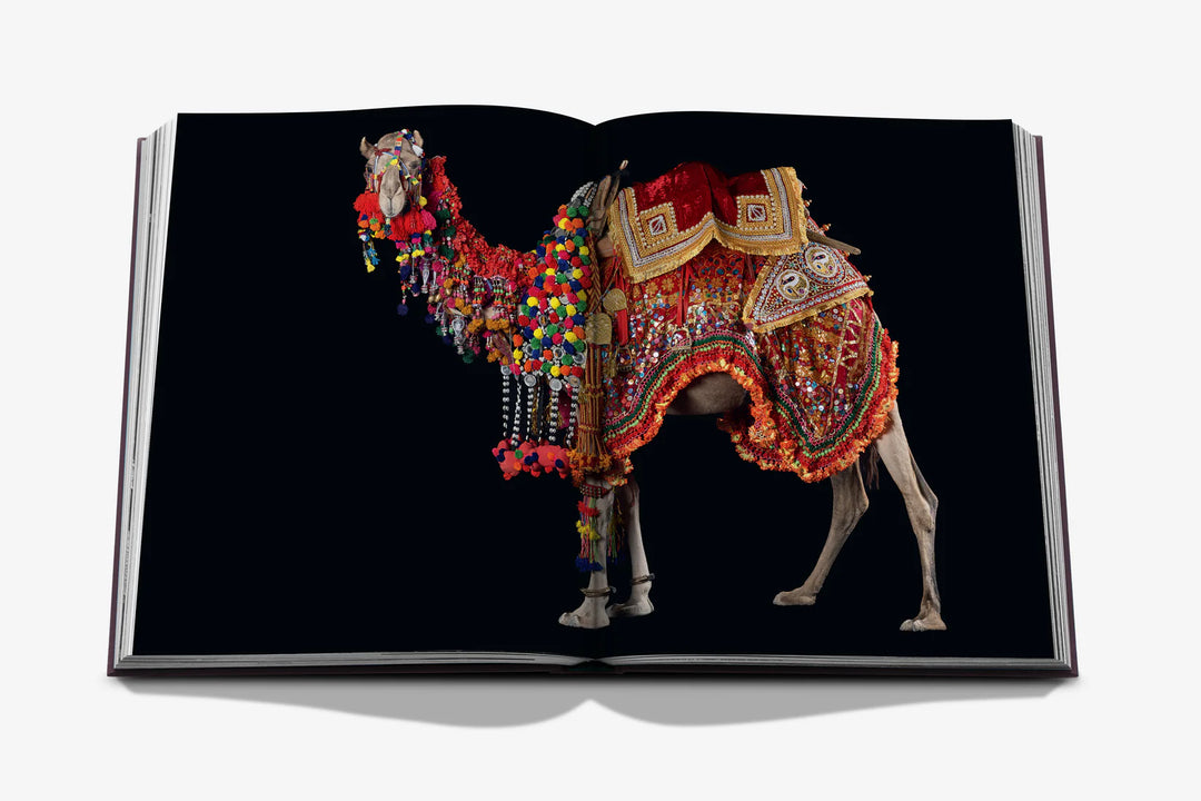 Book - Ode to a Camel