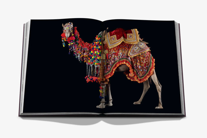 Book - Ode to a Camel