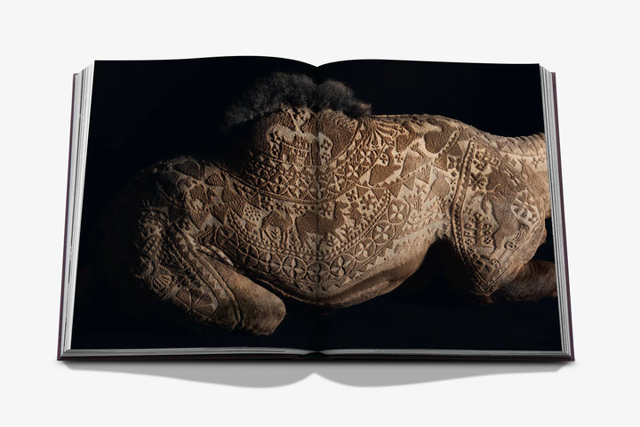 Book - Ode to a Camel