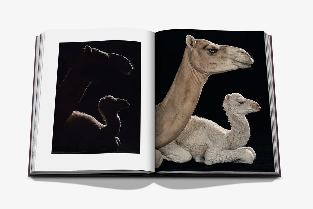 Book - Ode to a Camel
