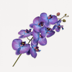 Orchid Branch - Mesmore Purple - 88cm