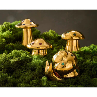 Brass Snail - Box