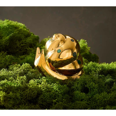 Brass Snail - Box