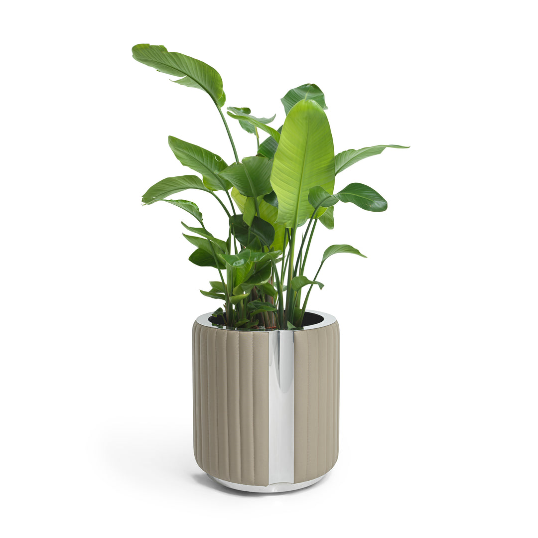 Planter - Fancy
