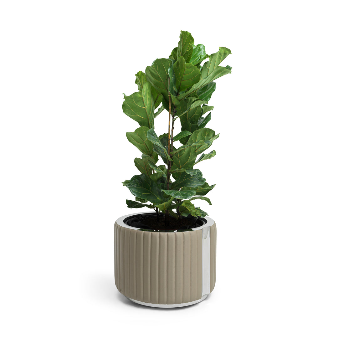 Planter - Fancy