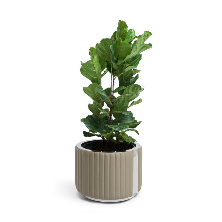 Planter - Fancy