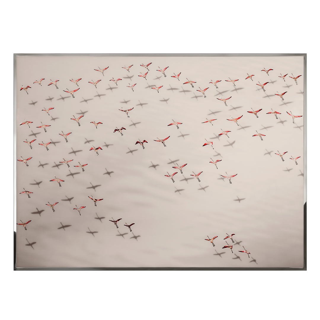 Art - Previous Next Flamingos
