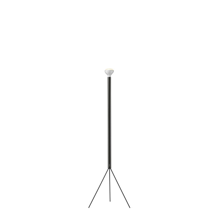 Floor Lamp - Luminator
