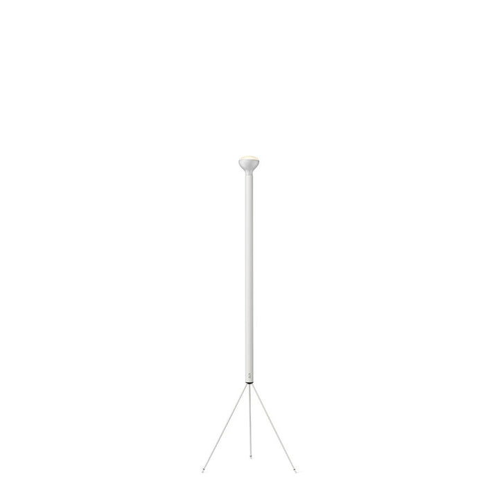 Floor Lamp - Luminator