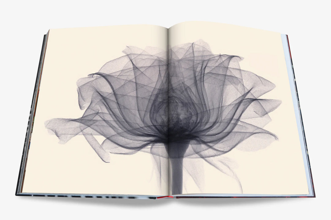 Book -  Flowers, Art & Bouquets