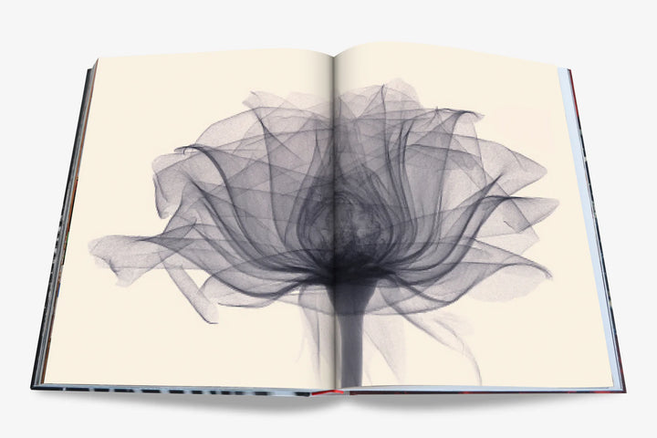 Book -  Flowers, Art & Bouquets