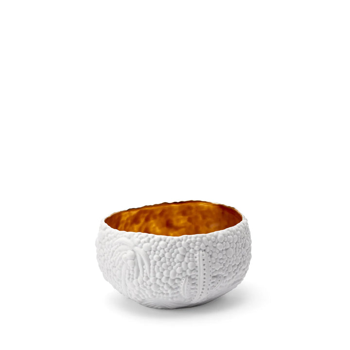 Haas Mojave Desert Bowl - White & Gold - Small