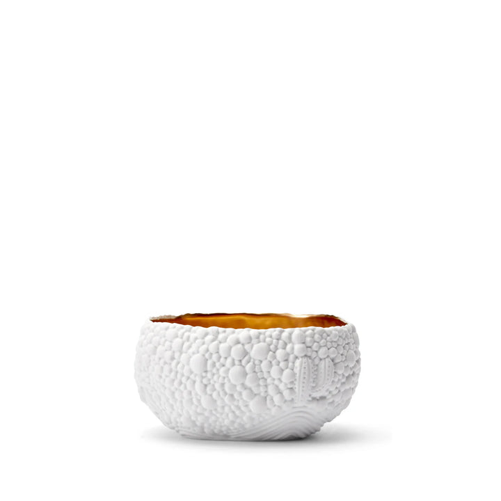 Haas Mojave Desert Bowl - White & Gold - Small