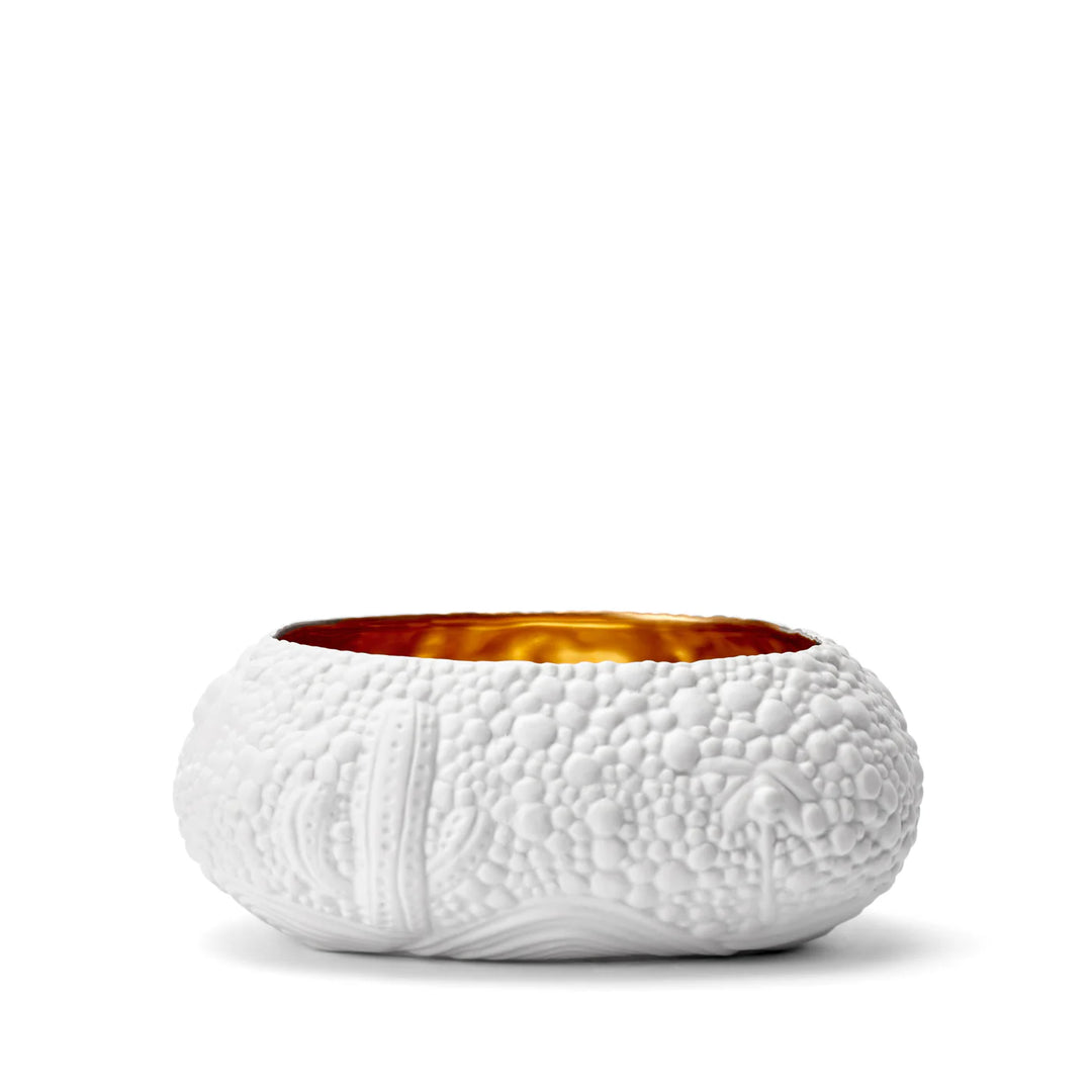 Haas Mojave Desert Bowl - White & Gold - Medium