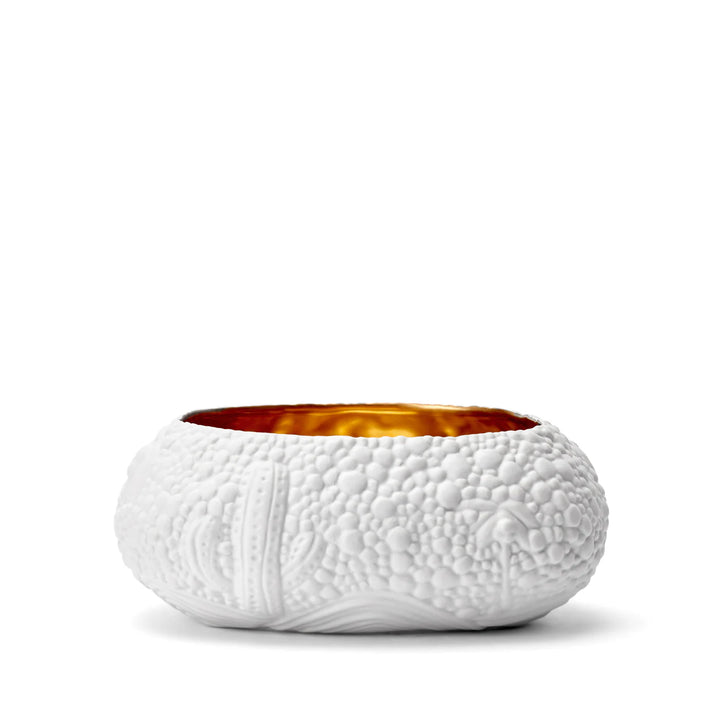 Haas Mojave Desert Bowl - White & Gold - Medium