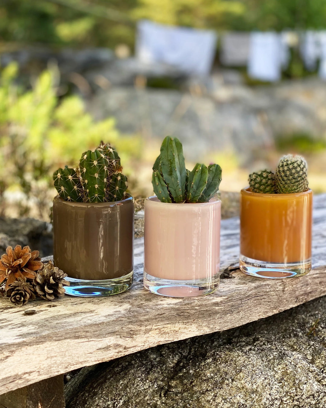 Hurricane - Lamp Candy Small - Fudge