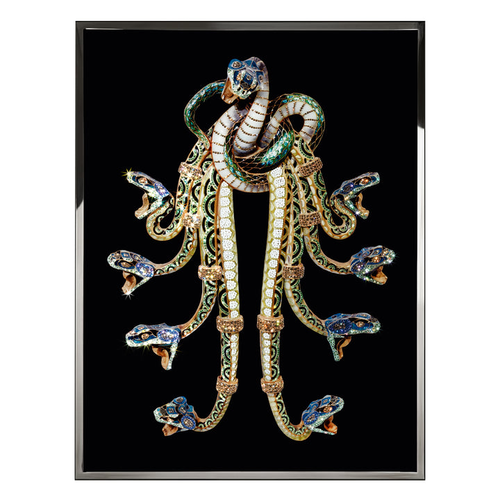 Art - Hydra