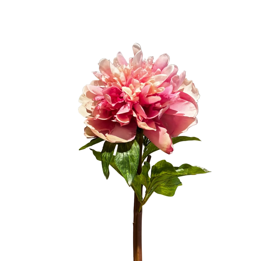 Peony Stem - Evelyn collection - Pink 52cm