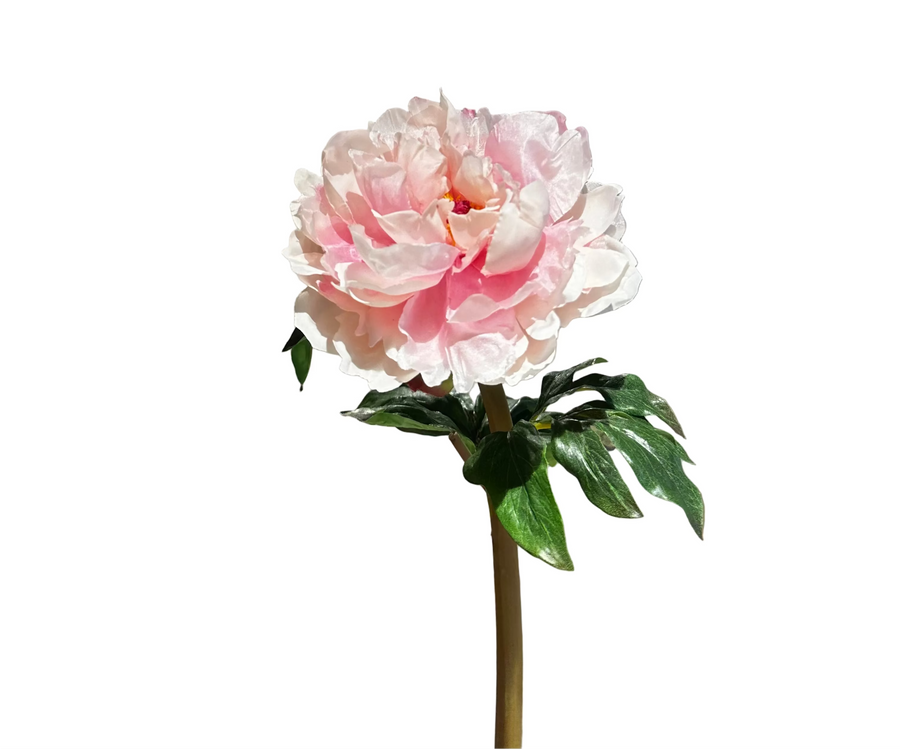 Pink flower with green leaves on a textured surface