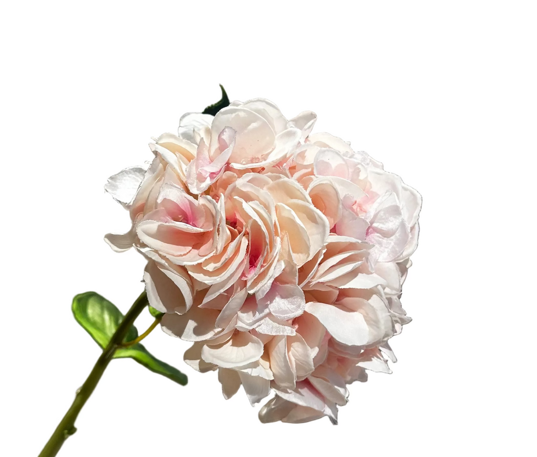 Hydrangea Stem - Evelyn Collection - Liora Soft Pink - 52cm