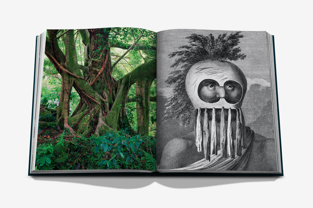 Book - Pacific Islands
